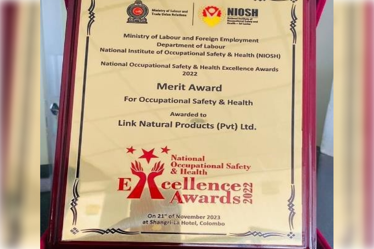 Link bags Merit Award for Occupational Safety & Health Excellence